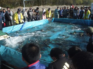 北斗市茂辺地さけまつり2013