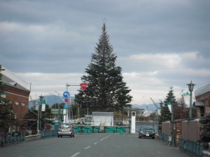 クリスマスツリー到着