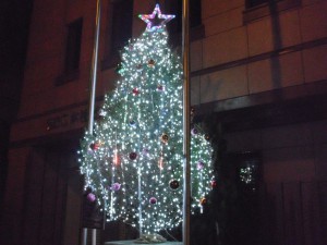 SEC本社前のクリスマスツリー