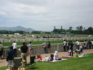 函館競馬場2017